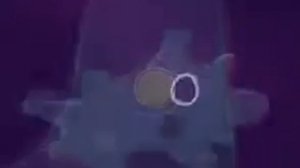 Сократительная вакуоль амебы