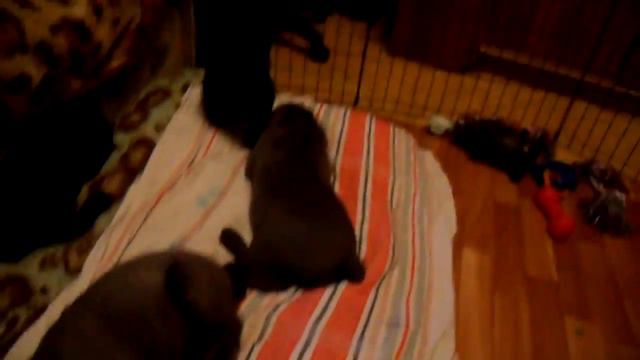 SDC15060 смотреть онлайн