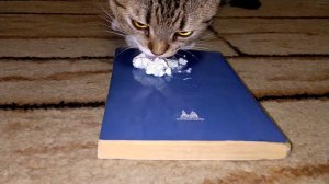 4 декабря 2021 г.