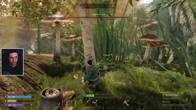 Smalland Survive the Wilds ▸ прохождение на стриме
