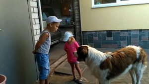 Команда "голос". Московская сторожевая.