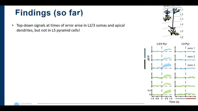 OpenScope: a community-driven brain observatory | 2019 Allen Showcase Symposium смотреть онлайн