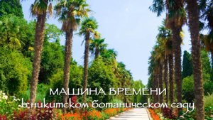 Машина Времени - В Никитском Ботаническом саду