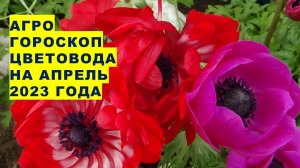 Агрогороскоп цветовода на апрель 2023 года. Агрогороскоп квітникаря на квітень 2023 року