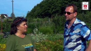 Садовые герои. В гостях у Дениса Баташева.