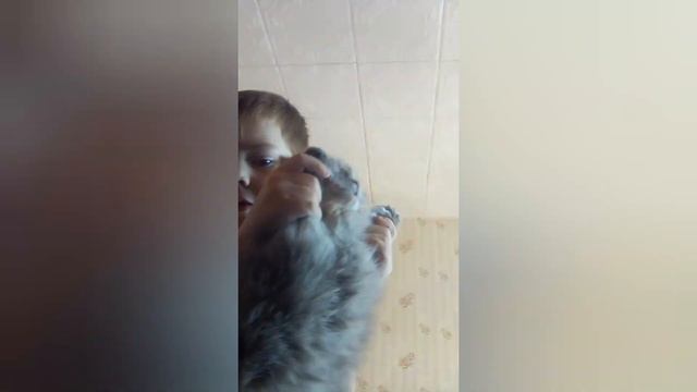 11 февраля 2023 г.