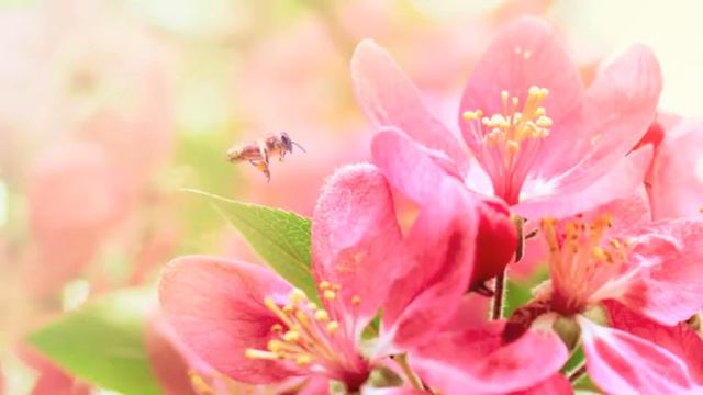 ФАТИМА ЮСУФОВА смотреть онлайн