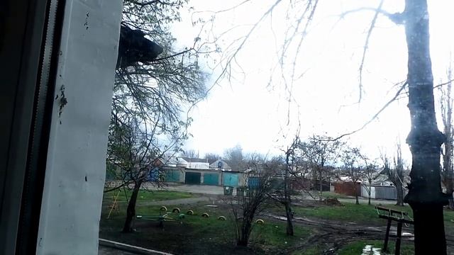 Фарш для пельменей без мясорубки.