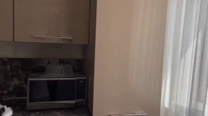 Обзор ВИП апартаментов гостиницы Интурист в Великом Новгороде!