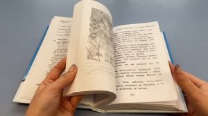 Отзывчивое сердце. Большая книга добрых историй