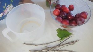 КВАШЕНЫЕ СЛИВЫ.