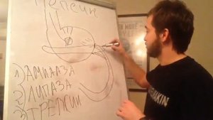 Вред Мяса / Мясо опасно / вегетарианство / тайный заговор