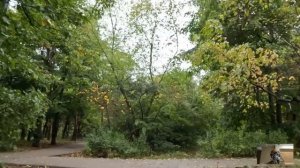 Знакомясь с родителями мажора, невеста заметила за богачами странности, а сорвав с его отца парик..