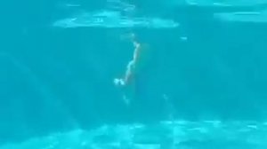 Маленькая девочка плавает под водой как рыба! Жесть!