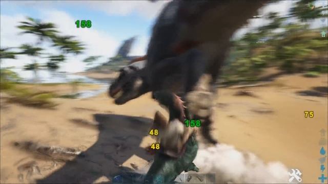 Раптор, Тек и альфа рапторы (Raptor) в АРК. Лучший обзор: приручение, разведение и способности в ar