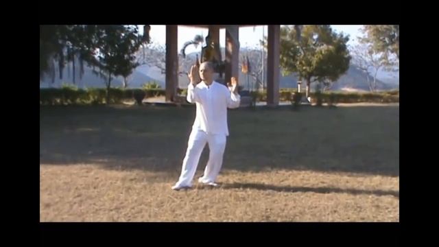 05 Мастер Игорь Ян Медитация в движении смотреть онлайн