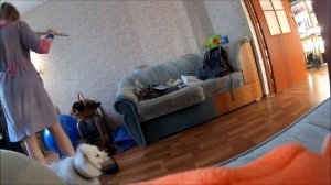Весёлая музыка