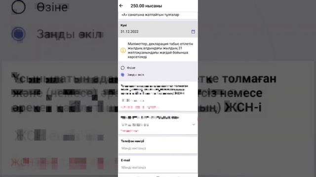 250 декларация тапсыру жолы смотреть онлайн