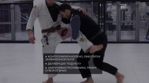 inside single leg for bjj