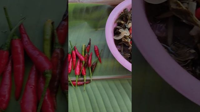 Dinengdeng na Bagbagkong/Sabidukong (A Rainy Season Wild Vine Flower??)