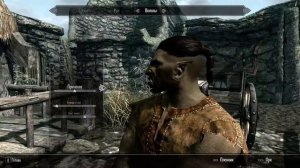 Полное прохождение скайрим за орка ВОИНА!!!!