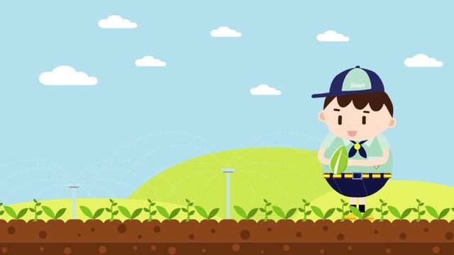 2023WSJkorea dream seeds project RU смотреть онлайн