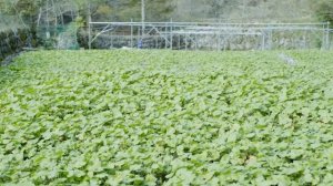 11 Фактов, Которые Вы не Знали Пять Минут Назад