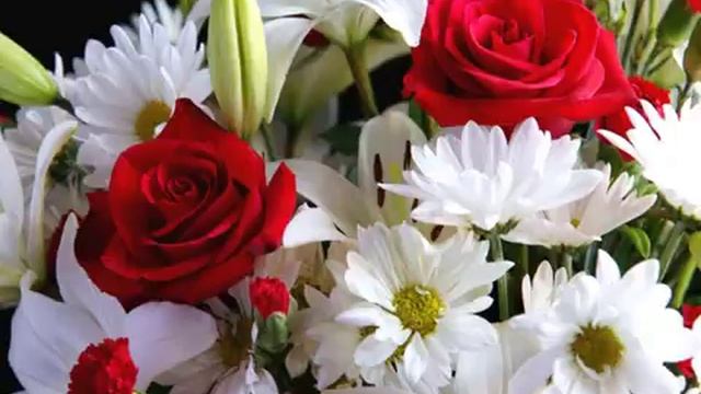 Ромашка и розы смотреть онлайн