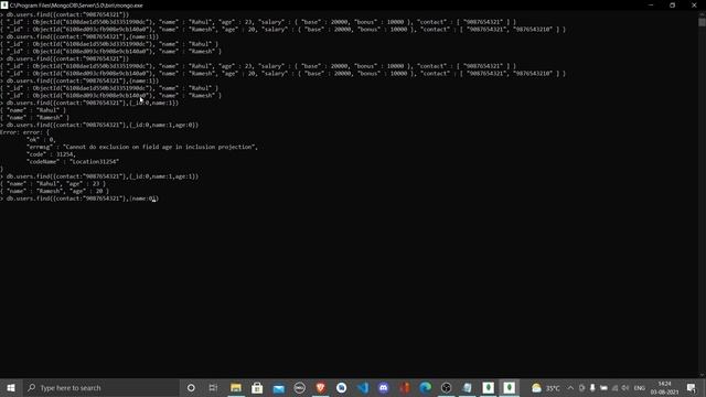Module 6 Project Fields | Introduction to MongoDB | Databases