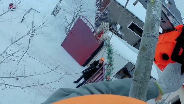 Удаление небольшого тополя ? | Арборист смотреть онлайн