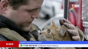 Программа "Дайджест" 23.07.24