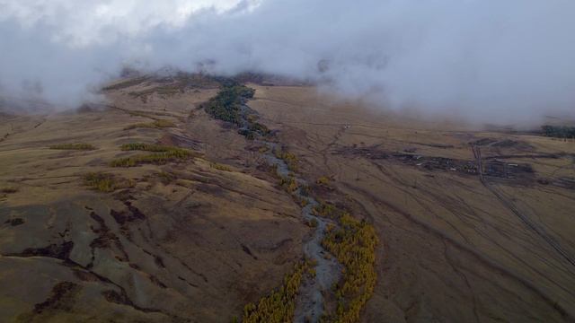 Природа России. Горный Алтай. Сибирь