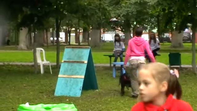 Полоса препятствий на фестивале беспородных животных смотреть онлайн