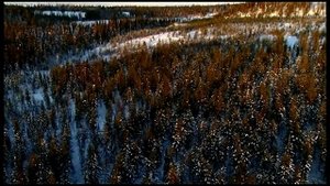 Максимилиан Волошин. Обманите меня... Россия...