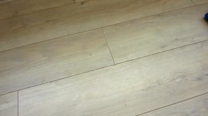 Пылесос Electrolux Ergorapido 2 in1