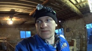 Неудачные коровы или поиск идеальной... // Содержание КРС