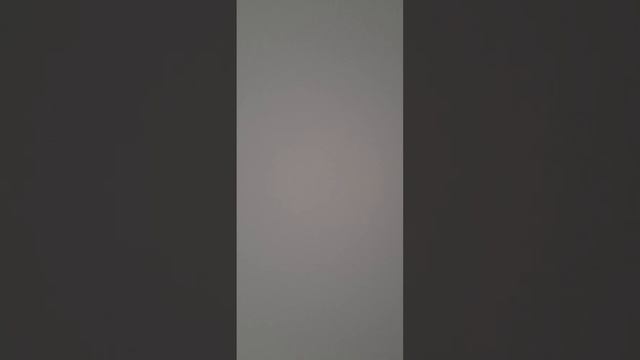 Лекции от Тани Котовой 342 