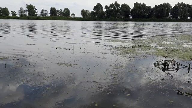 Свиногорье смотреть онлайн