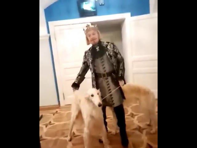 Русские борзые с актером Малого театраI8(916)702-11-08 Москва
