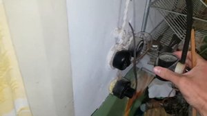 Ставлю липкие ловушки на тараканов. Как вывести тараканов в квартире