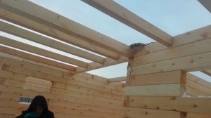 VID_20201218_152948 (1)