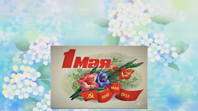 Щеткова Полина Владимировна НГСр-22-(9)-1