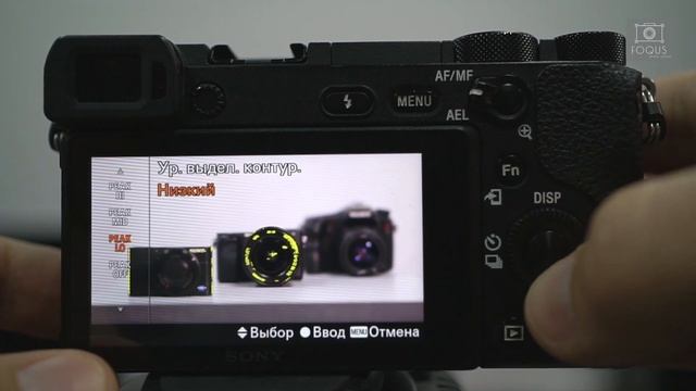 Настройка Фокус Пикинига (Focus Peacking) на камерах Sony смотреть онлайн