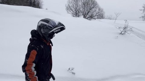 СТЕЛС СТАВР 600 или ЯМАХА ВИКИНГ 540?