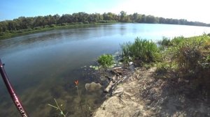 БЫСТРЫЕ ЛЕЩИ НА ТАРАНКУ?