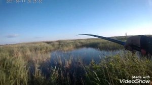 Ловля карася на поплавок в камышах, рыбалка летом на удочку