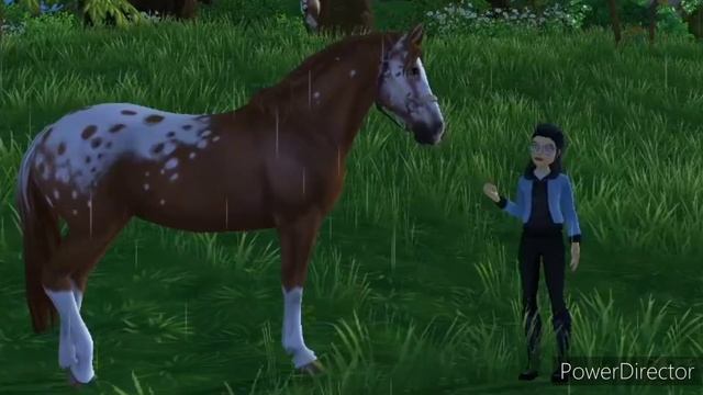 Мой день на конюшне! Star Stable Online смотреть онлайн