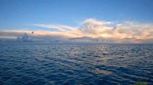 Рыбалка в море, июнь 2022 г.к. Анапа