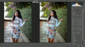 Photoshop Camera Raw Filter Preset (1)