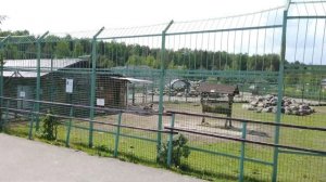 ЯРОСЛАВСКИЙ ЗООПАРК 2023